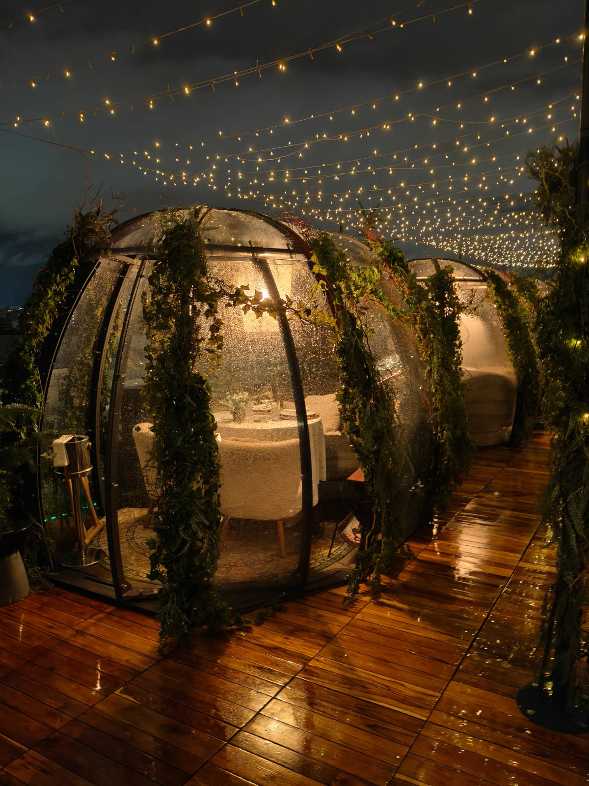 Small Pods at night with sparkly lights